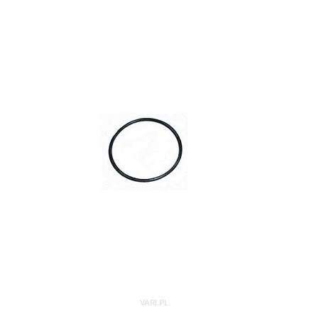 Oring 19x2,5